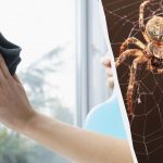 একটি পণ্য জানালা পরিষ্কার করবে যতক্ষণ না তারা জ্বলে উঠবে