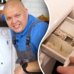 ছাঁচ এবং গন্ধ থেকে ওয়াশিং মেশিন কীভাবে পরিষ্কার করবেন: সস্তা