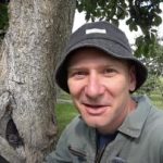 একটি ফাঁপা একটি মৃত্যুদণ্ড নয়: একটি গাছের জীবন বাড়ানোর একটি প্রমাণিত উপায় একটি ফাঁপা একটি মৃত্যুদণ্ড নয়: একটি গাছের জীবন বাড়ানোর একটি